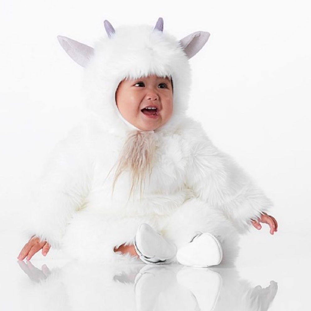 Pottery Barn Kids Woodland Goat costume